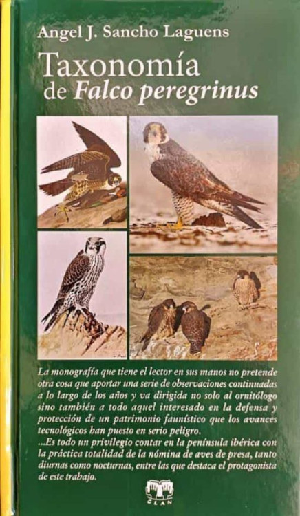 TAXONOMÍA DE FALCO PEREGRINUS 1