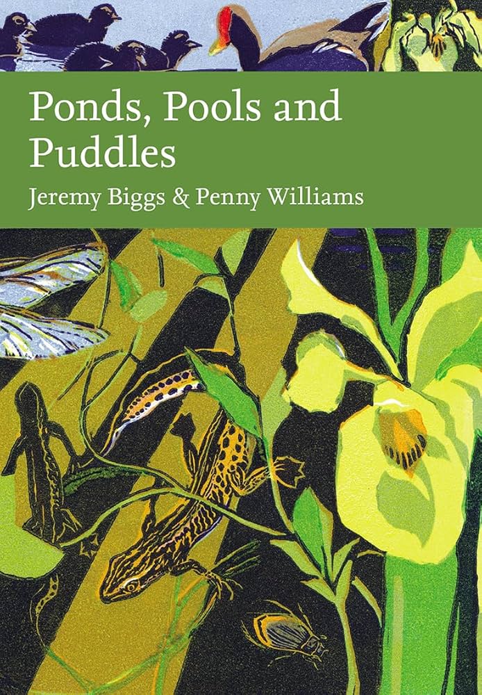 PONDS, POOLS AND PUDDLES 1