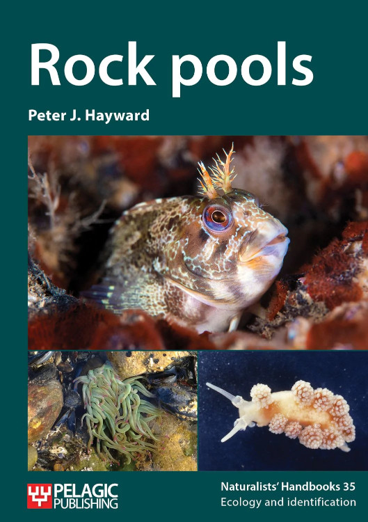 ROCK POOLS