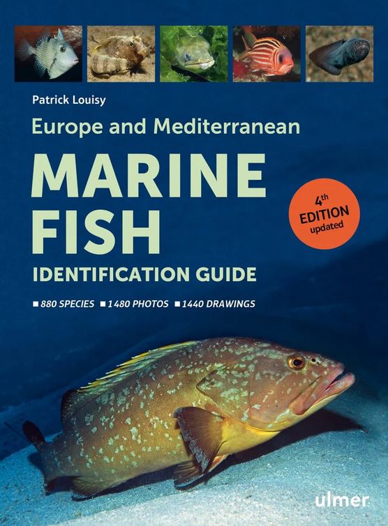 EUROPE AND MEDITERRANEAN MARINE FISH IDENTIFICATION GUIDE 1