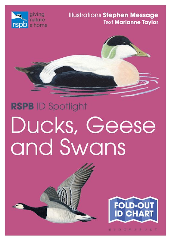 RSPB ID SPOTLIGHT: DUCKS, GEESE AND SWANS