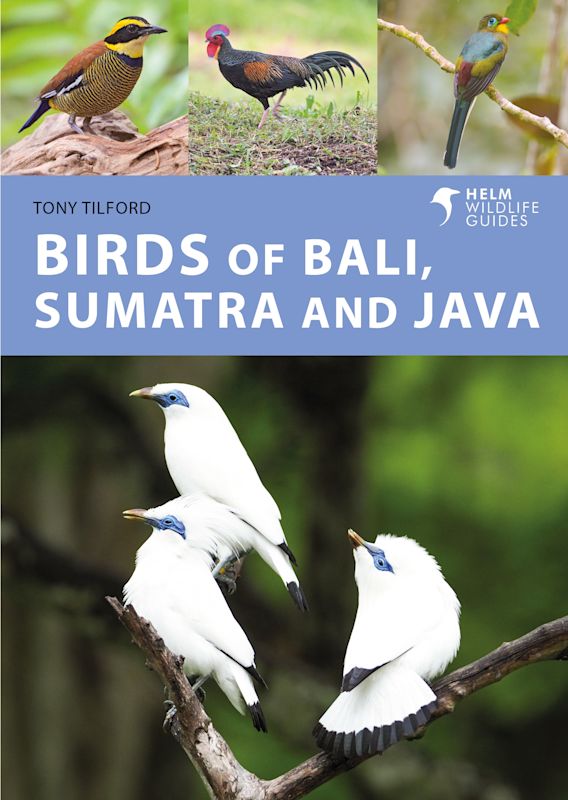BIRDS OF BALI, SUMATRA AND JAVA