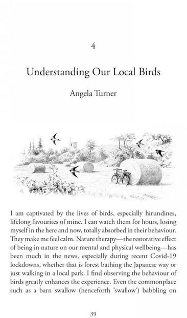 LOW-CARBON BIRDING 2