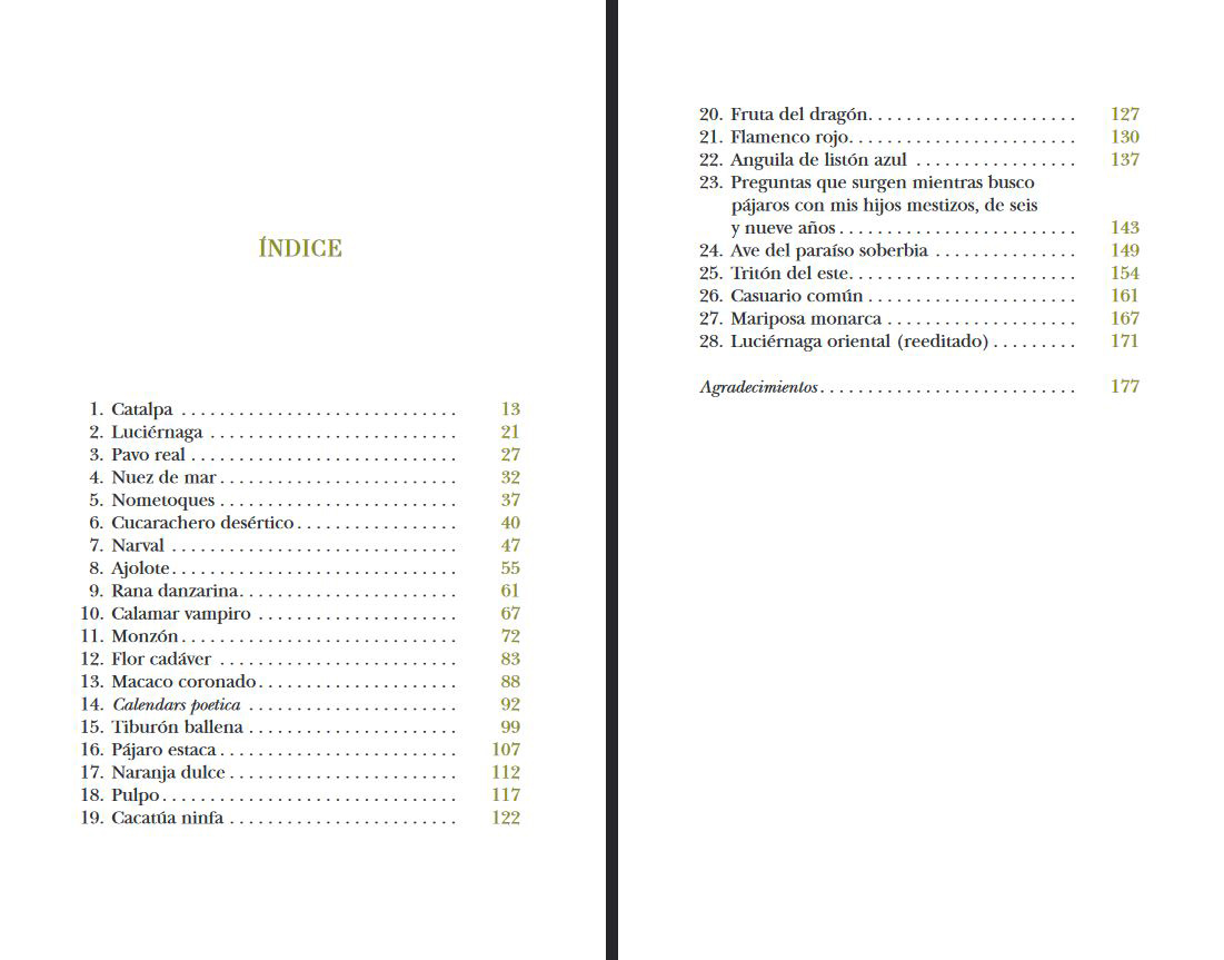 UN MUNDO ASOMBROSO. ELOGIO DE LAS LUCIÉRNAGAS, TIBURONES BALLENA Y OTRAS MARAVILLAS 2