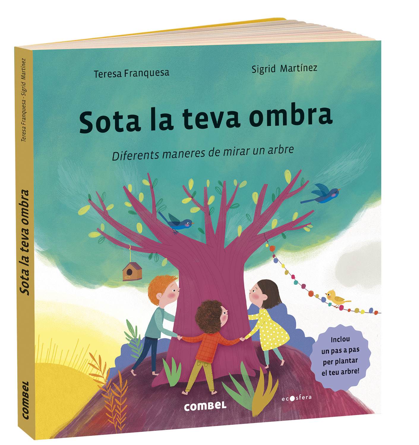 SOTA LA TEVA OMBRA. DIFERENTS MANERES DE MIRAR UN ARBRE 1