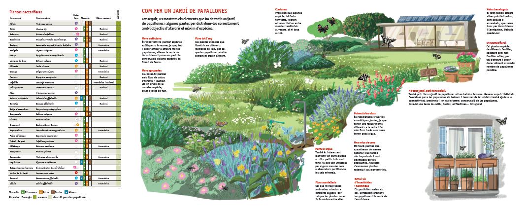 COM DISSENYAR UN JARDÍ DE PAPALLONES. GUIA PRÀCTICA 2