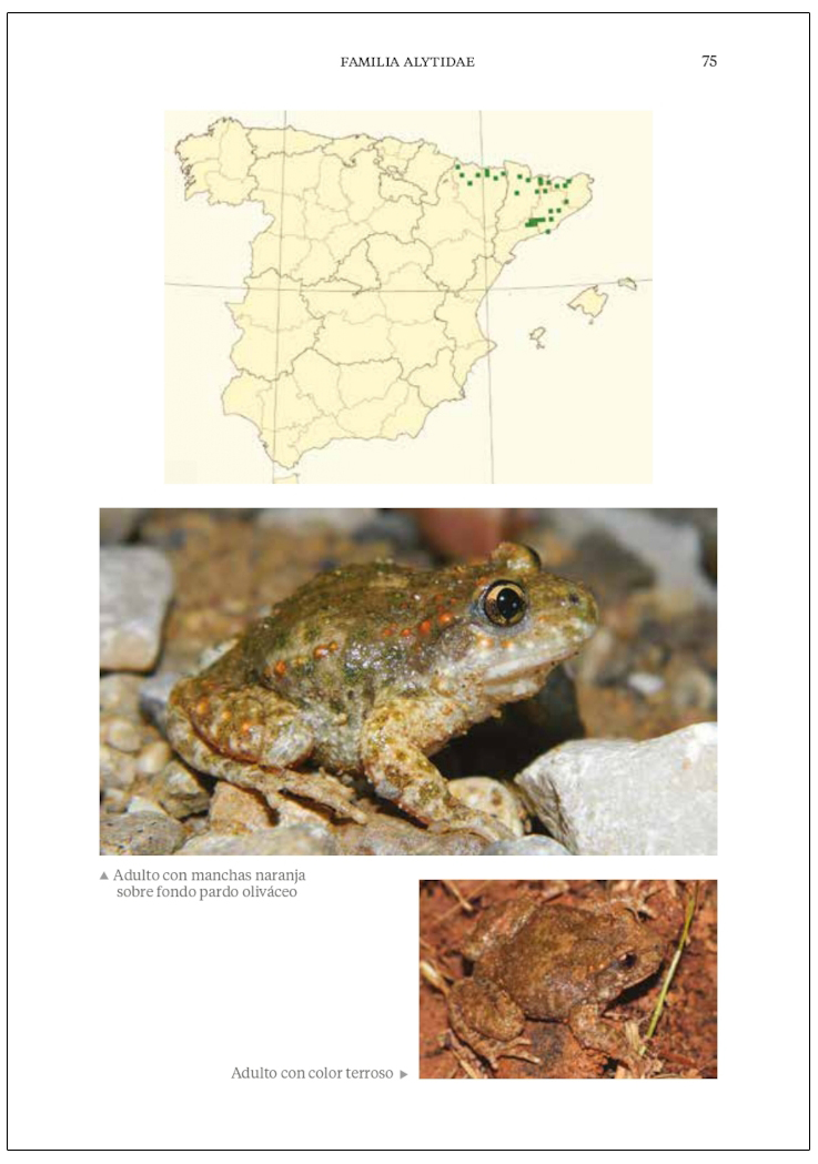 GUÍA DE LOS ANFIBIOS Y REPTILES DE ESPAÑA - TAPA DURA 4