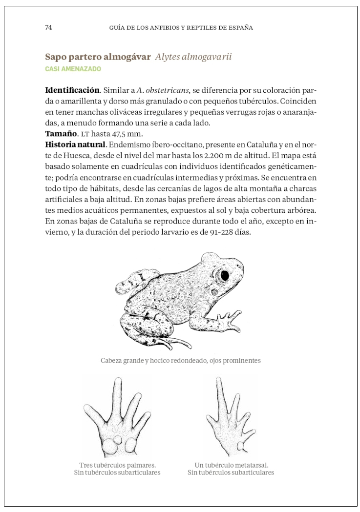 GUÍA DE LOS ANFIBIOS Y REPTILES DE ESPAÑA - TAPA DURA 5
