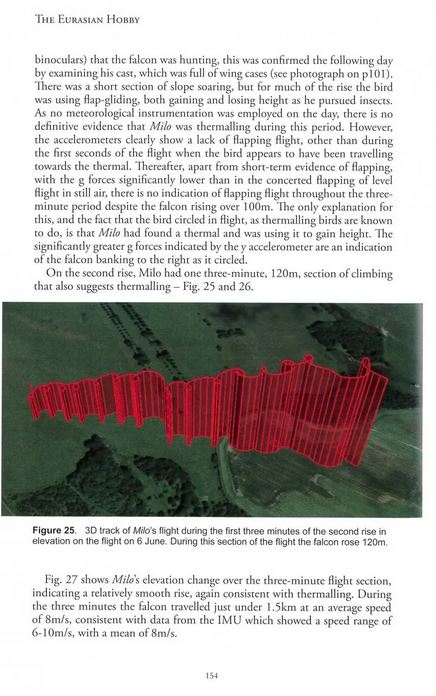 THE EURASIAN HOBBY 3