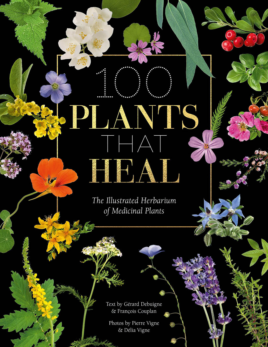 100 PLANTS THAT HEAL. THE ILLUSTRATED HERBARIUM OF MEDICINAL PLANTS 1