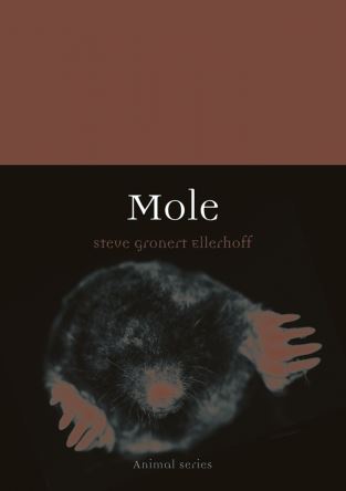 MOLE. ANIMAL SERIES