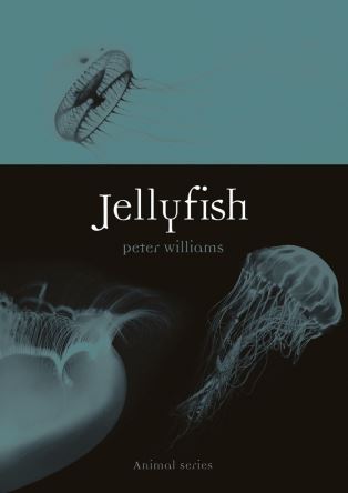 JELLYFISH. ANIMAL SERIES
