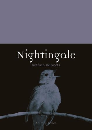 NIGHTINGALE