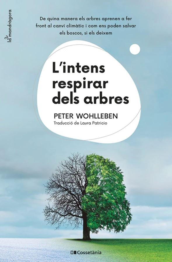 L'INTENS RESPIRAR DELS ARBRES. DE QUINA MANERA ELS ARBRES APRENEN A FER FRONT AL CANVI CLIMÀTIC I COM ENS PODEN SALVAR ALS BOSCOS, SI ELS DEIXEM 1