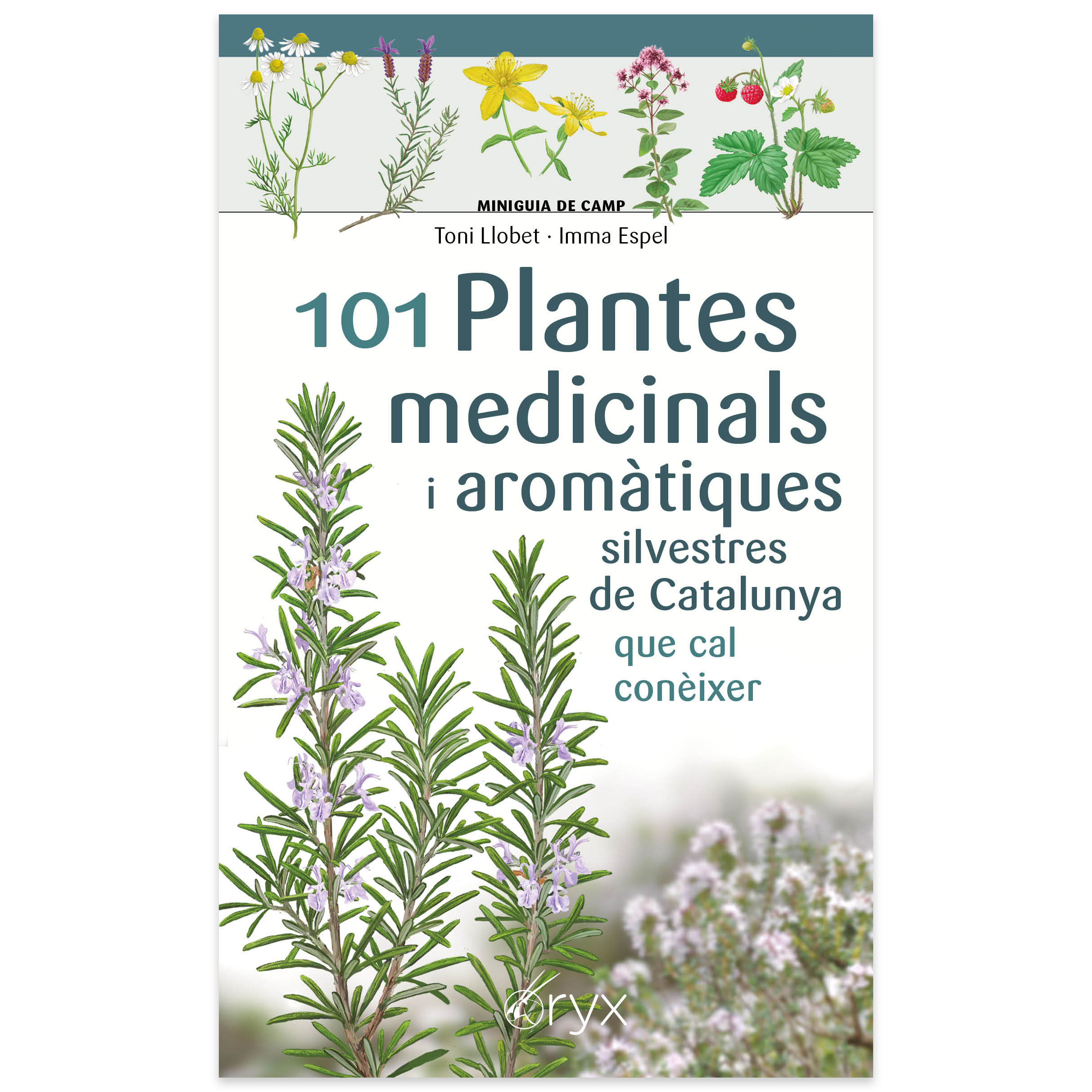 101 PLANTES MEDICINALS I AROMÀTIQUES SILVESTRES DE CATALUNYA QUE CAL CONÈIXER. MINIGUIA DE CAMP 1