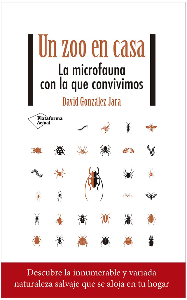 UN ZOO EN CASA. LA MICROFAUNA CON LA QUE CONVIVIMOS