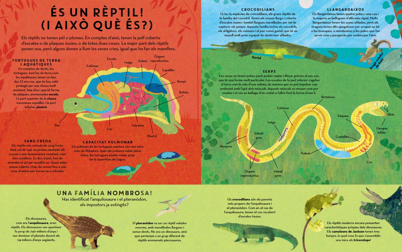RÈPTILS PERTOT ARREU 2