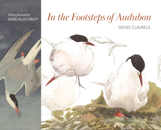 IN THE FOOTSTEPS OF AUDUBON