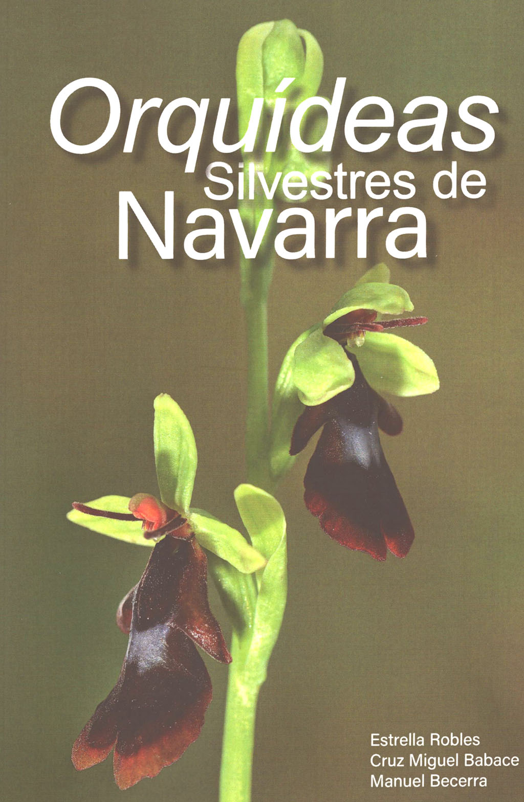 ORQUÍDEAS SILVESTRES DE NAVARRA