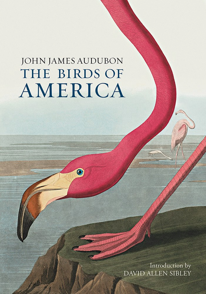 JOHN JAMES AUDUBON. THE BIRDS OF AMERICA 1