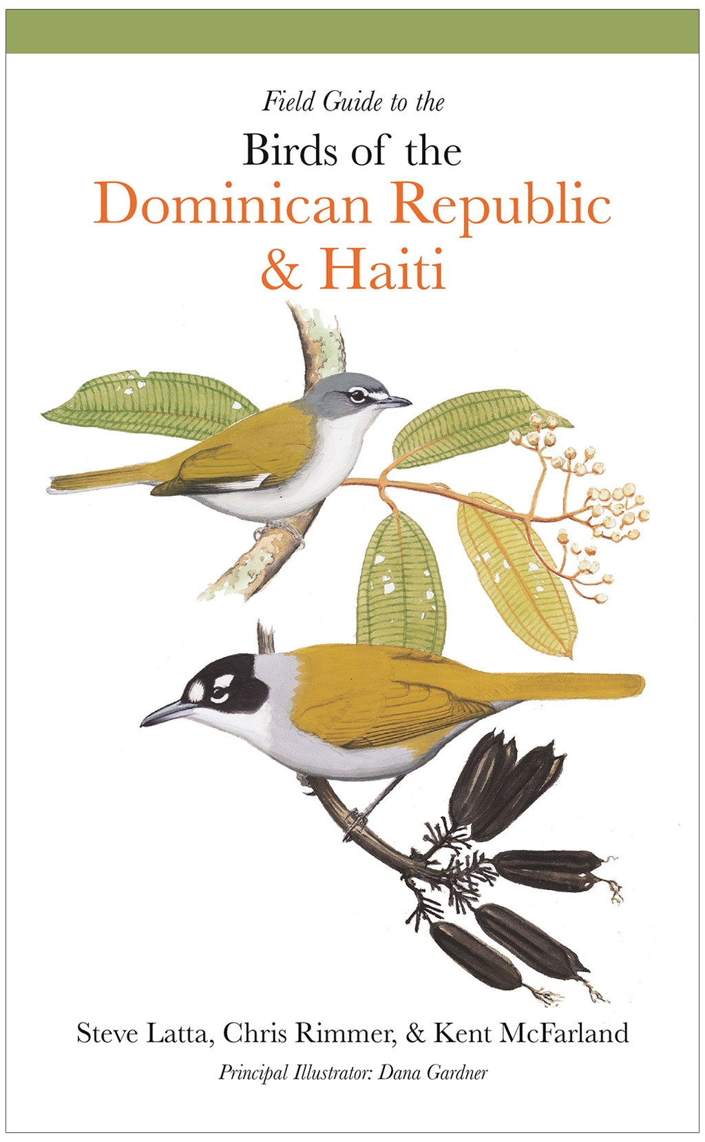 FIELD GUIDE TO THE BIRDS OF THE DOMINICAN REPUBLIC AND HAITI 1