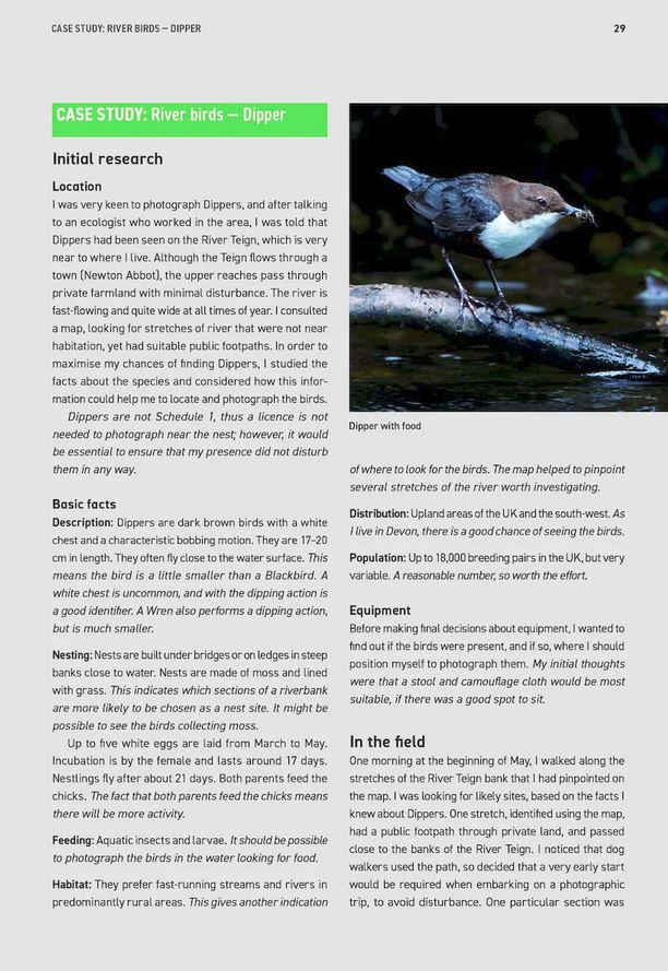 WILDLIFE PHOTOGRAPHY FIELDCRAFT 2