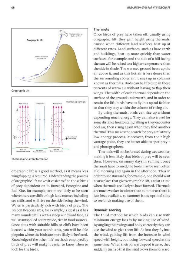 WILDLIFE PHOTOGRAPHY FIELDCRAFT 3
