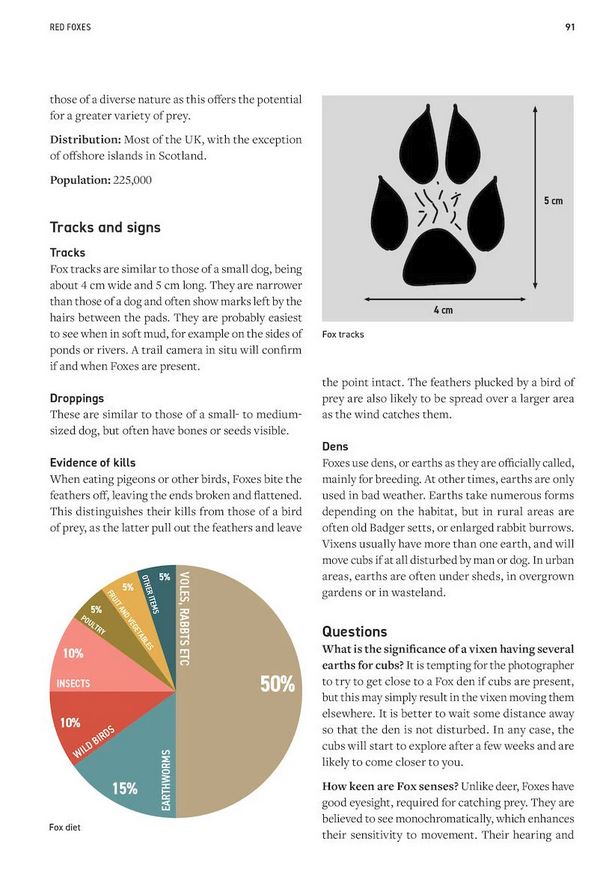 WILDLIFE PHOTOGRAPHY FIELDCRAFT 4
