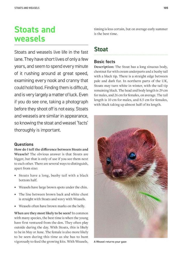 WILDLIFE PHOTOGRAPHY FIELDCRAFT 5