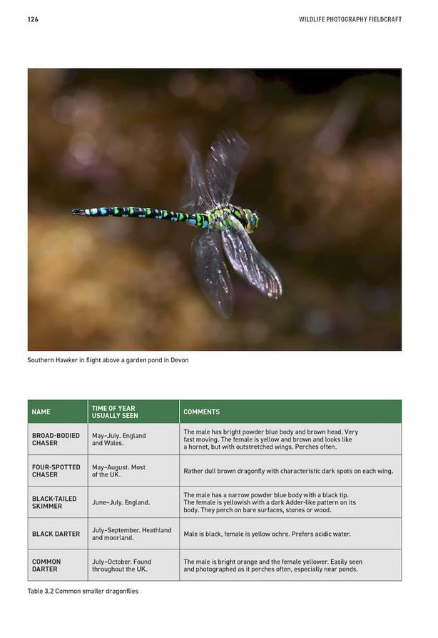 WILDLIFE PHOTOGRAPHY FIELDCRAFT 6