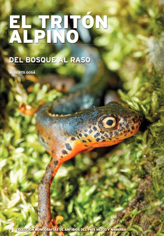 EL TRITÓN ALPINO: DEL BOSQUE AL RASO