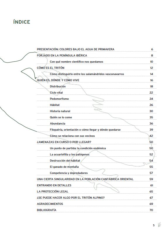 EL TRITÓN ALPINO: DEL BOSQUE AL RASO 2