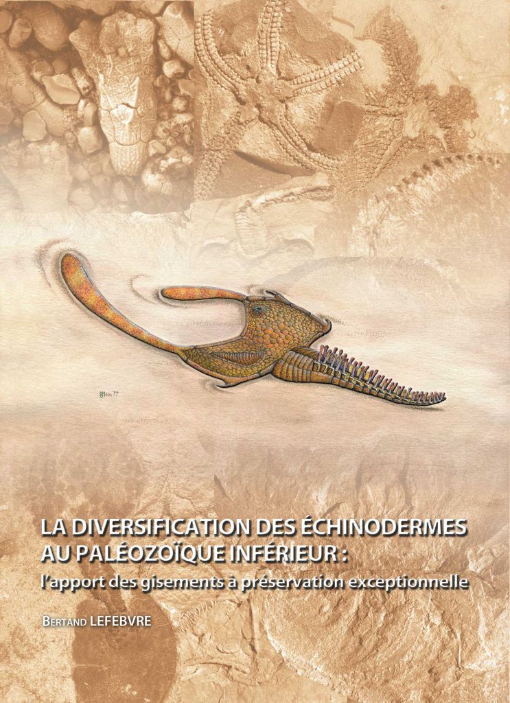 LA DIVERSIFICATION DES ÉCHINODERMES AU PALÉOZOÏQUE INFÉRIEUR 1
