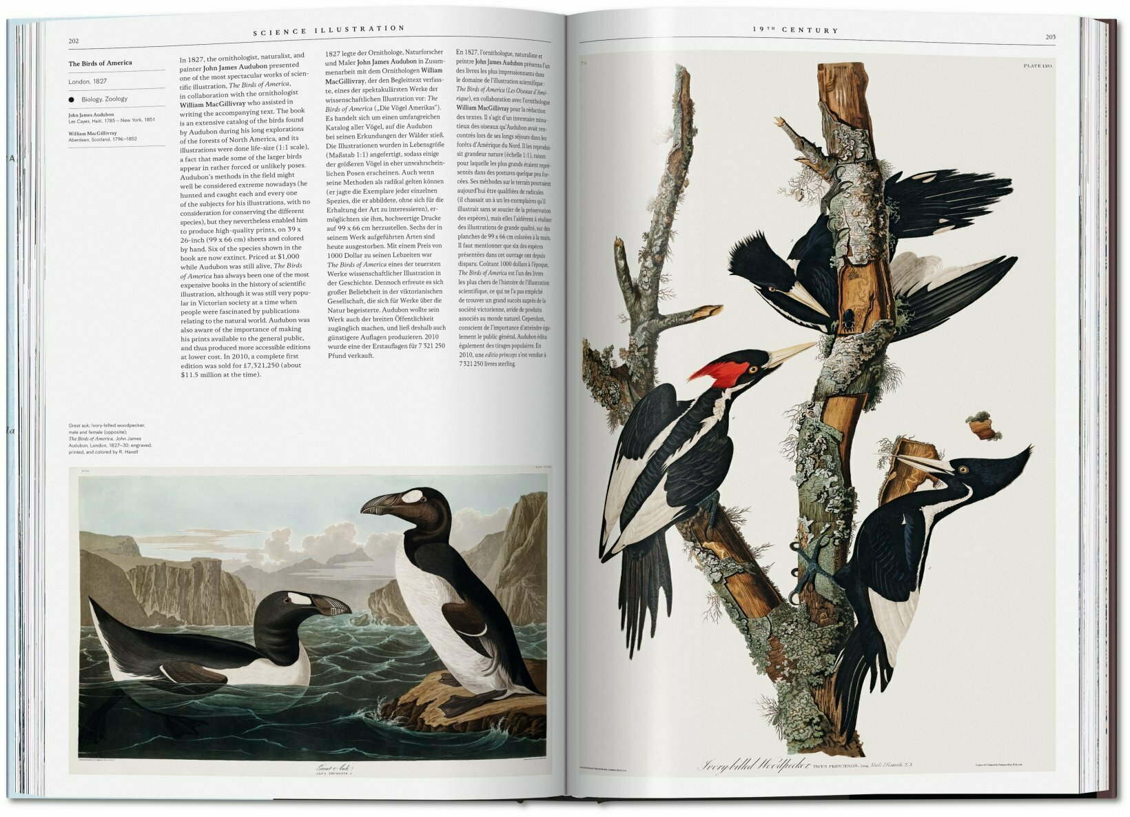 SCIENCE ILLUSTRATION. A HISTORY OF VISUAL KNOWLEDGE FROM THE 15TH CENTURY TO TODAY 3