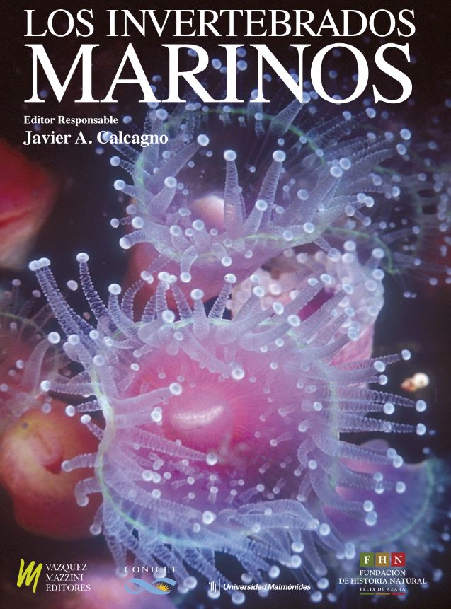 LOS INVERTEBRADOS MARINOS