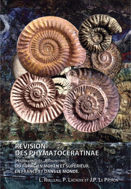 RÉVISION DES PHYMATOCERATINAE (HILDOCERATIDAE, AMMONITINA)  1