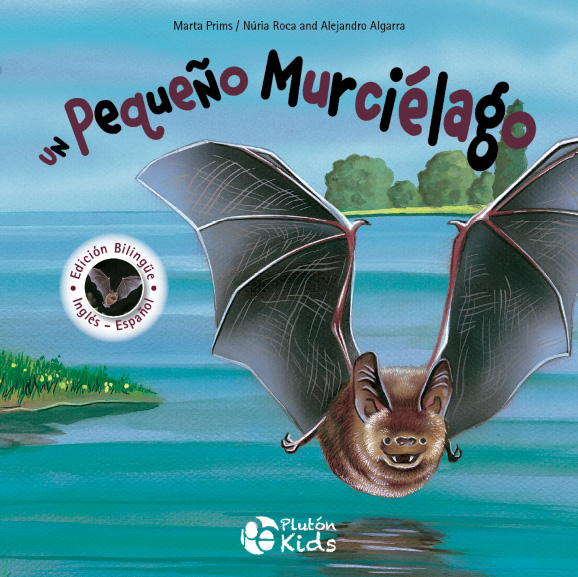 UN PEQUEÑO MURCIÉLAGO 1
