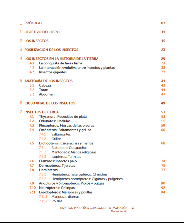 INSECTOS: PEQUEÑOS COLOSOS DE LA EVOLUCIÓN 2