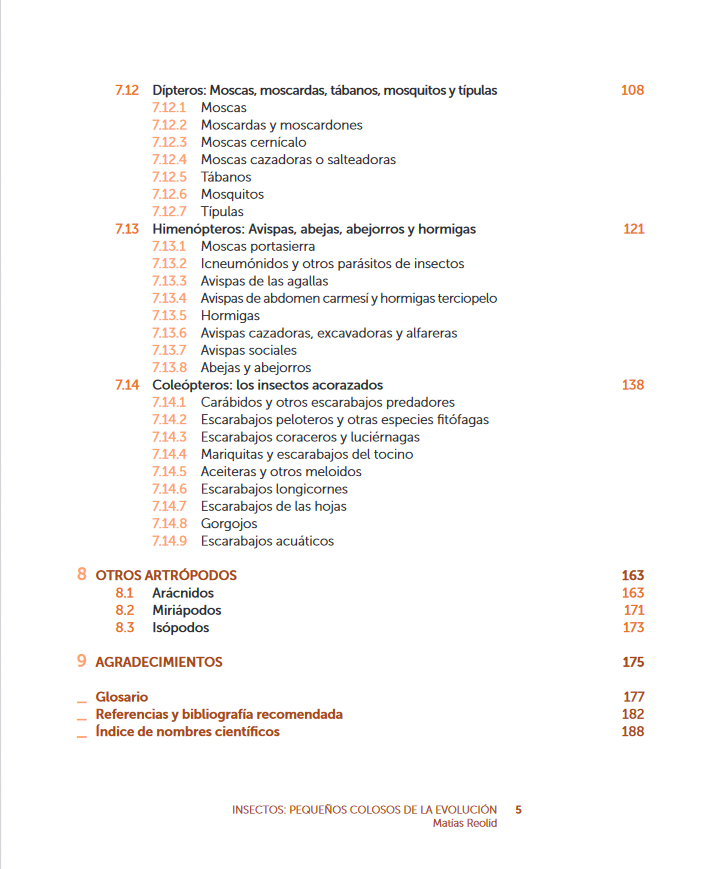 INSECTOS: PEQUEÑOS COLOSOS DE LA EVOLUCIÓN 3