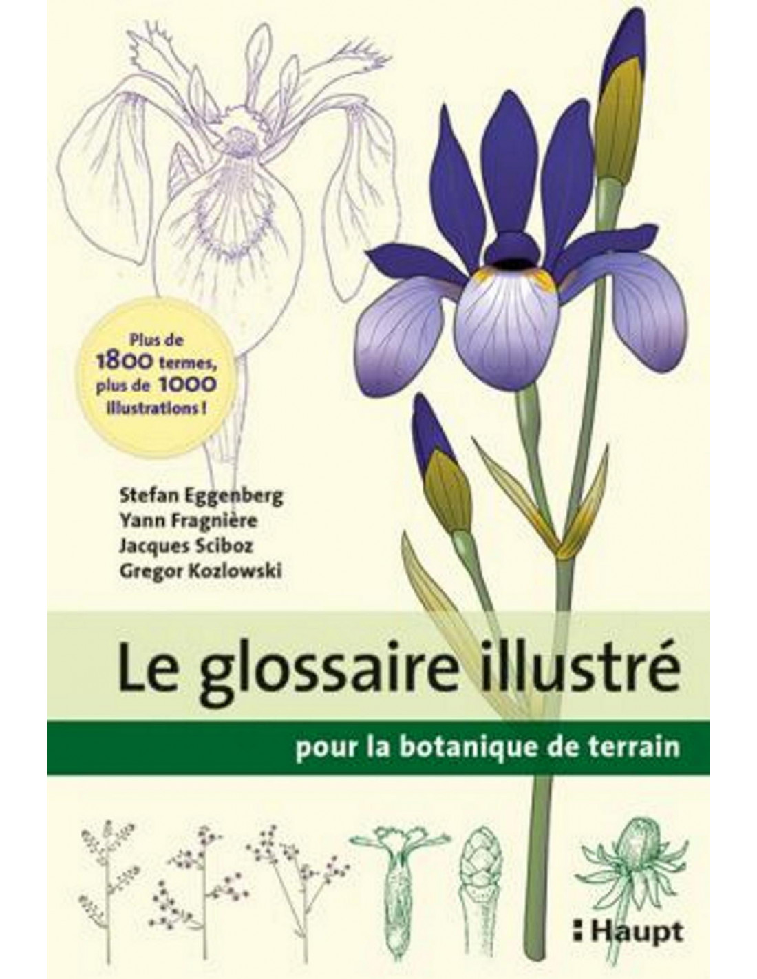 LE GLOSSAIRE ILLUSTRÉ POUR LA BOTANIQUE DE TERRAIN  1