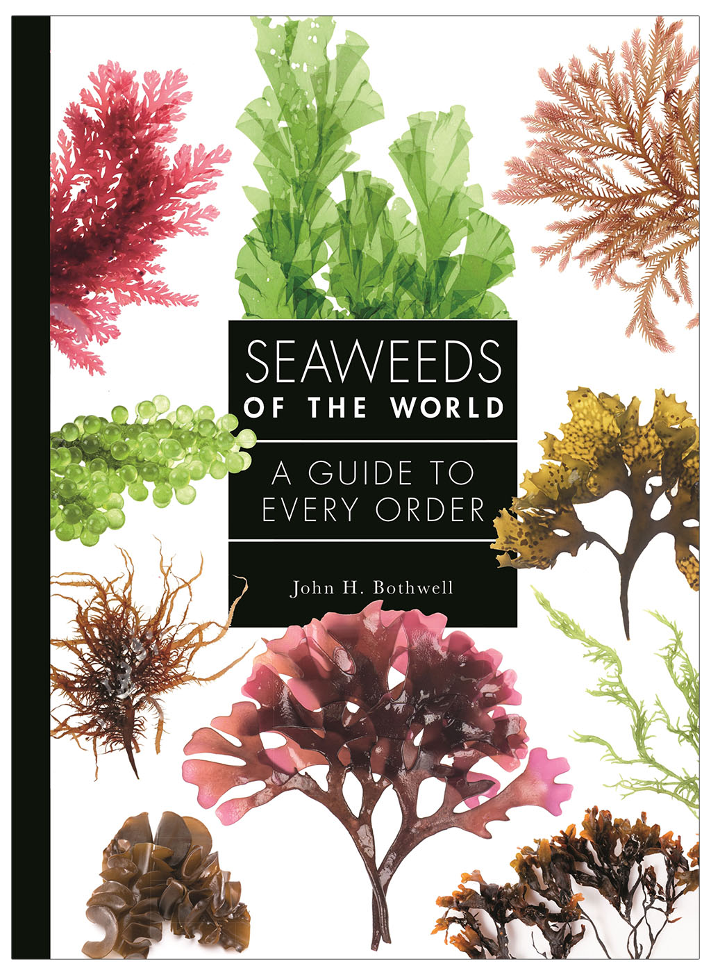 SEAWEEDS OF THE WORLD