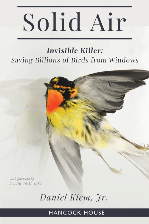 SOLID AIR. INVISIBLE KILLER: SAVING BILLIONS OF BIRDS FROM WINDOWS