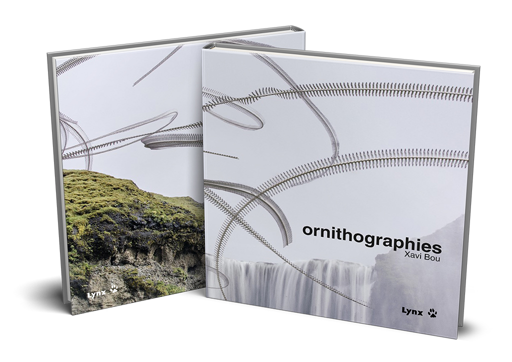 ORNITHOGRAPHIES