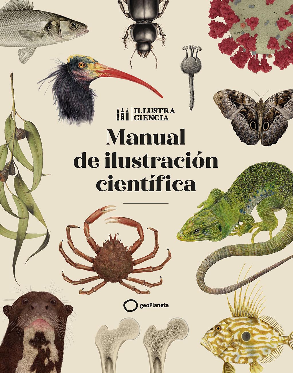 MANUAL DE ILUSTRACIÓN CIENTÍFICA 1
