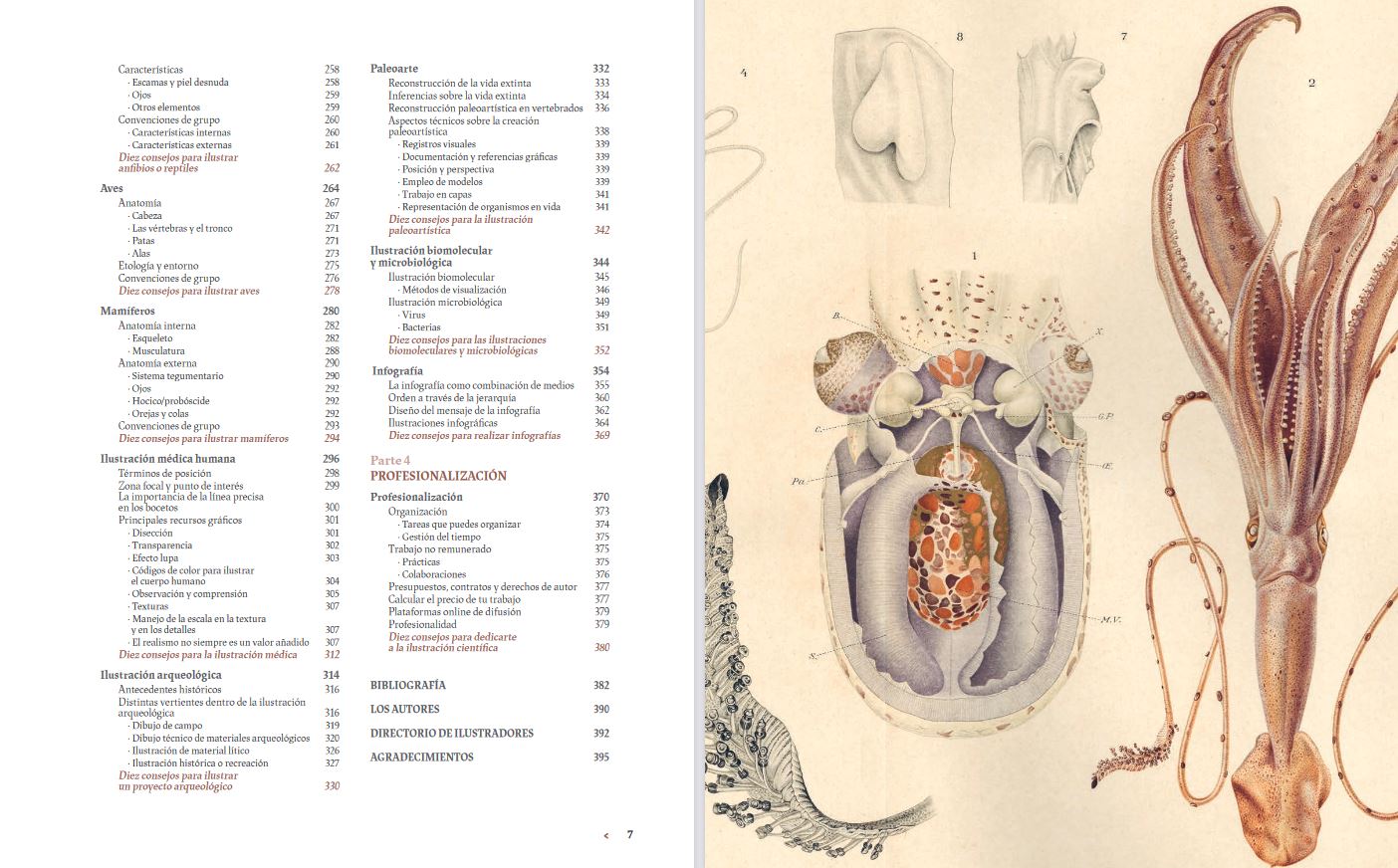 MANUAL DE ILUSTRACIÓN CIENTÍFICA 3