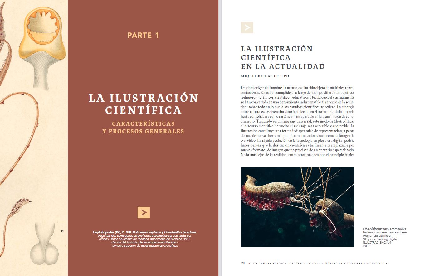 MANUAL DE ILUSTRACIÓN CIENTÍFICA 4