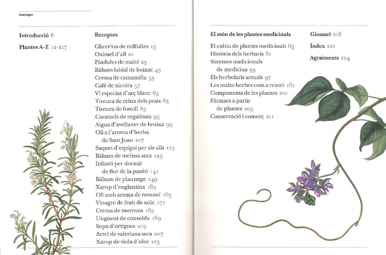 GUIA DEL JARDÍ SOBRE PLANTES MEDICINALS. REMEIS CASOLANS I PLANTES GUARIDORES DE LA A A LA Z 2