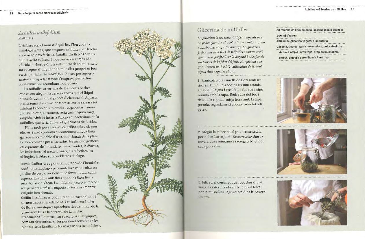 GUIA DEL JARDÍ SOBRE PLANTES MEDICINALS. REMEIS CASOLANS I PLANTES GUARIDORES DE LA A A LA Z 3
