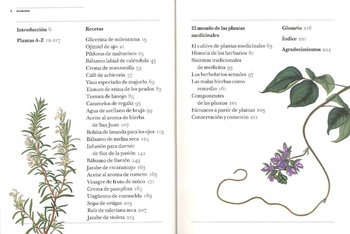 GUÍA DEL JARDÍN SOBRE PLANTAS MEDICINALES. REMEDIOS CASEROS Y PLANTAS CURATIVAS DE LA A A LA Z 2