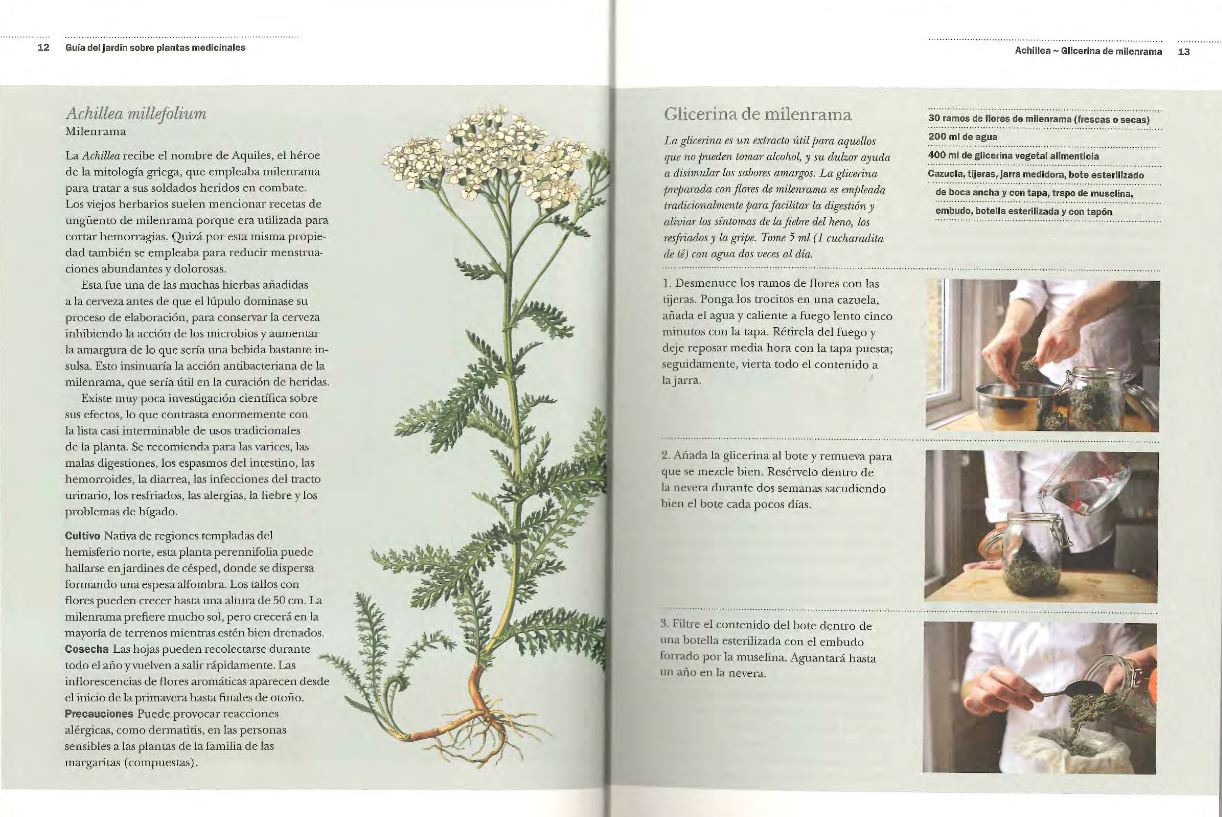 GUÍA DEL JARDÍN SOBRE PLANTAS MEDICINALES. REMEDIOS CASEROS Y PLANTAS CURATIVAS DE LA A A LA Z 4